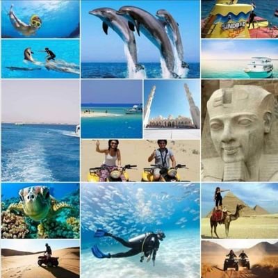 Profile Picture of Jacqueline Voegele (@JacquelineAhmed) on Twitter