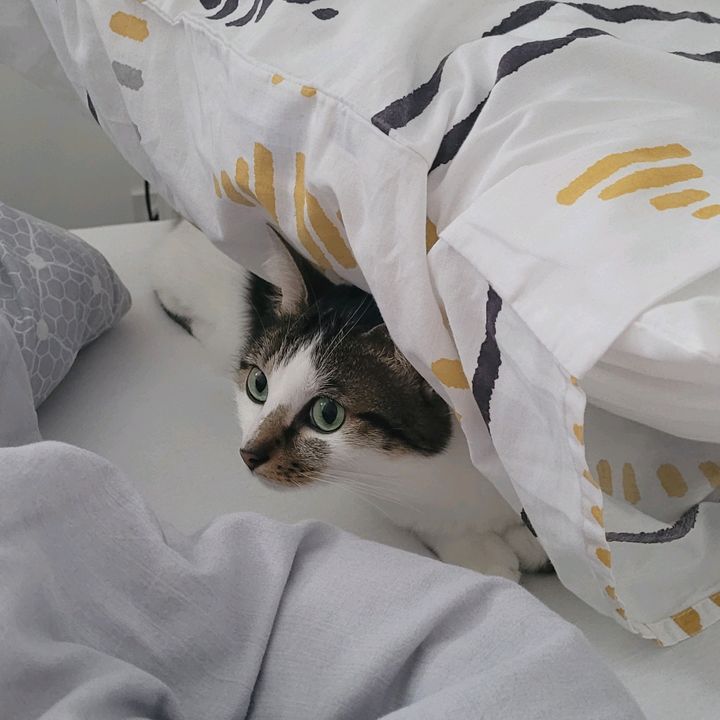 Profile Picture of Ripple_marks (@ripple_marks) on Tiktok