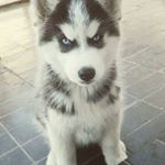 Profile Picture of James oland (@jamesoland112) on Instagram