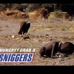 Profile Picture of André Szakos (@mongot05) on Instagram