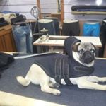 Mohamed Belkaid - Instagram Profile Picture of Mohamed Belkaid (@mohamed.belkaid.311) on Instagram