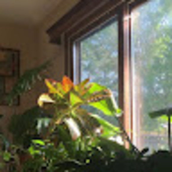 Profile Picture of Andrew Sussman (@absussman9605) on Poshmark