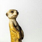 Profile Picture of Jon-Paul Deprez (@jpdeprez) on Instagram