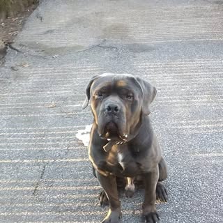 Profile Picture of Eric Napoleon (@napoleoneric) on Instagram