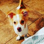 Profile Picture of Nicholas ramos (@nickramos520) on Instagram