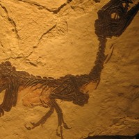 Profile Picture of إبراهيم زلّوم  (@ibrahim-g-zalloum) on Quora