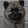 Profile Picture of Teddy Wilkins (@teddy4094) on Pinterest