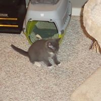 Profile Picture of Rachel Reimer (@rachel-reimer) on Quora