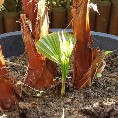 Profile Picture of John Berner-Jensen (@berner_jensen) on Twitter