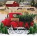 Profile Picture of Teresa Byrd (Teresa Harris Byrd) (@teresa.byrd.378) on Facebook