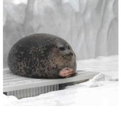 Profile Picture of Cash (@TonyCassiere) on Twitter