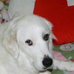 Profile Picture of Mina Williams (@williams.mina) on Instagram