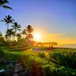 Profile Picture of Janet Trammell (@_tiny_dragon) on Instagram