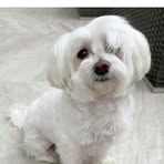 Profile Picture of Bernice AllenDickerson (@Bernice-Allen-Dickerson) on Facebook