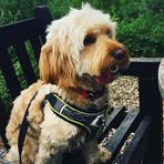 Profile Picture of Bratcher Glenn (@Bratcher-Glenn) on Facebook