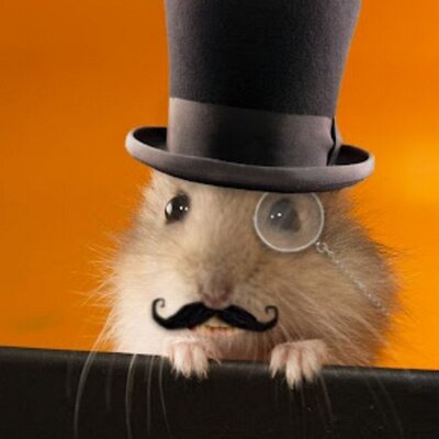 Profile Picture of Isaiah Irby (@isaiahninja12) on Twitter
