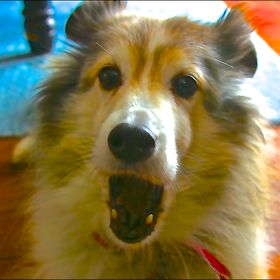 Profile Picture of Brett Purvis (@bcpurvis1962) on Pinterest