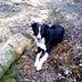 Profile Picture of Wayne Jilbert (@wayne.jilbert.9) on Facebook