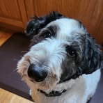 Profile Picture of John Colliton (@John-Colliton) on Facebook