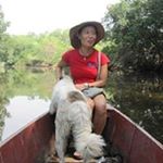 Profile Picture of Alice Lee (@alicimalee) on Instagram