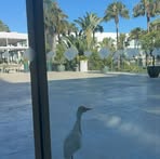 Profile Picture of Autre Chose (@Autre-Chose) on Facebook