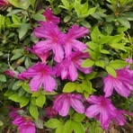 Profile Picture of Candis Smoot (@PerfectEmperfection) on Facebook