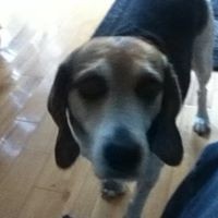 Profile Picture of Dylan Crouse (@dylan-crouse-1) on Quora