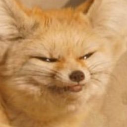 Profile Picture of Foo (@fooman2) on Twitter
