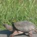 Profile Picture of Joe Wimsatt (@joe.wimsatt.39) on Facebook
