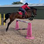 Profile Picture of Tori Murphy🇬🇧 (@torimurphy.eq) on Instagram