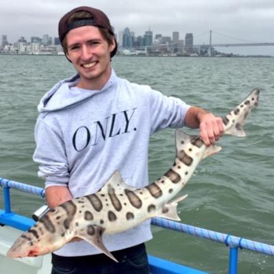 Profile Picture of Matt Robb (@Matt_robb_) on Twitter