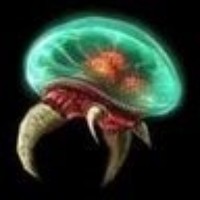 Profile Picture of Drew Bradshaw (@drew-bradshaw) on Quora