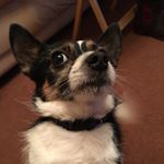 Profile Picture of Karl Heath (@karl.heath) on Instagram