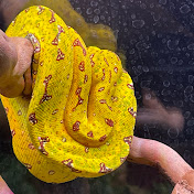 Profile Picture of Luke Zajac (@lukeZajac-vg9js) on Youtube