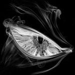 Martin Rejman - Instagram Profile Picture of Martin Rejman (@martin.rej) on Instagram