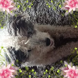 Janet Hockings - Facebook Profile Picture of Janet Hockings (@janet.hockings.1) on Facebook