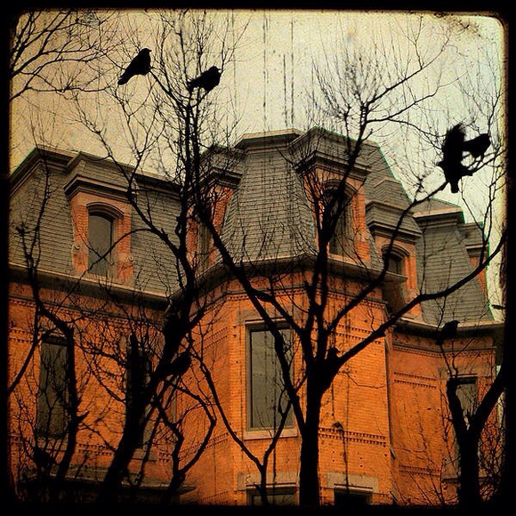 Profile Picture of Trisha Edwards (@misskitty67) on Poshmark