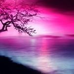 Profile Picture of Carol LeFever (@carollefever) on Instagram