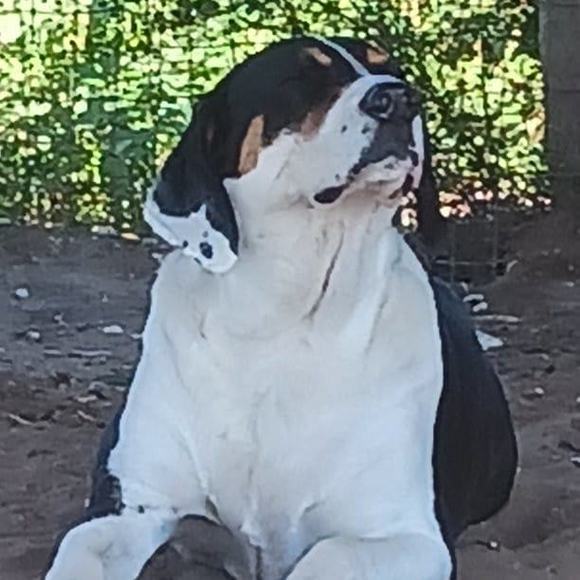 Profile Picture of Tish Bartlik (@tish_bartlik) on Poshmark