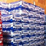 Andy Forbister - Instagram Profile Picture of Andy Forbister (@andyforbister) on Instagram