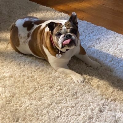 Profile Picture of Brian Harkins (@brianha64750438) on Twitter