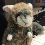 Profile Picture of Sir Frederick Leopold III (@frederick_the_chinchilla) on Instagram