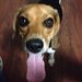 Profile Picture of Stephen Severino (@severinostephen) on Pinterest