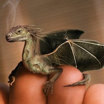 Profile Picture of Jonathan Cochrane (@JonoDragon) on Twitter