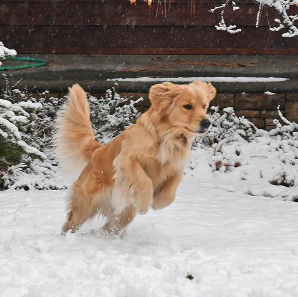 Profile Picture of Eileen Oshiro (@suntorygr) on Poshmark