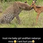 Profile Picture of Dan Sifama (@dan.sifama.9) on Facebook