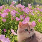 Profile Picture of Mark Gendul (@Mark-Gendul) on Facebook