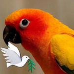 Profile Picture of Runa Bhattacharjee (@runa.bhattacharjee.3954) on Instagram