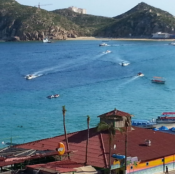 Chris Sprankle - Poshmark Profile Picture of Chris Sprankle (@chrissprankle) on Poshmark