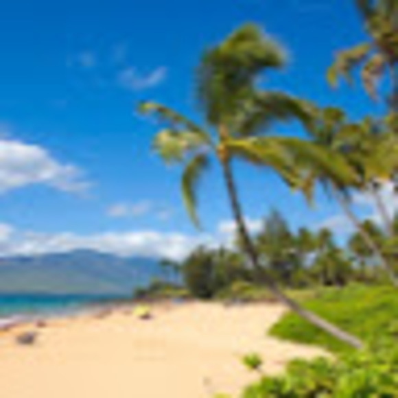 Profile Picture of Logan Arnholt (@loarnholt) on Poshmark